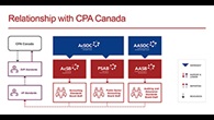 This chart describes the relationship between the Boards and Oversight Councils of Financial Reporting and Assurance Standards Canada, and Chartered Professional Accountants of Canada.