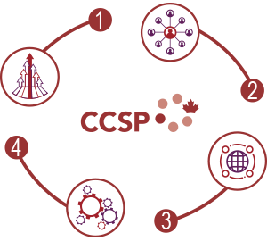 Infographie qui représente les stratégies et objectifs du C C S P