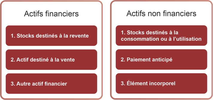 Graphique catégorisant les actifs financiers et les actifs non financiers. Les actifs financiers se composent de stocks destinés à la revente, d’actifs destinés à la vente et d’autres actifs financiers, tandis que les actifs non financiers se composent de stocks destinés à la consommation ou à l’utilisation, de paiements anticipés et d’éléments incorporels.